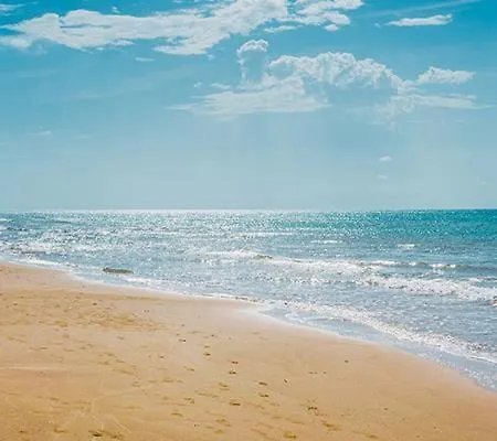 Perla Di Corso Savoia - Penzion Rosolini